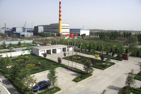 公司简介 公司简介