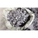 Ferro Alloys Ferro Alloys